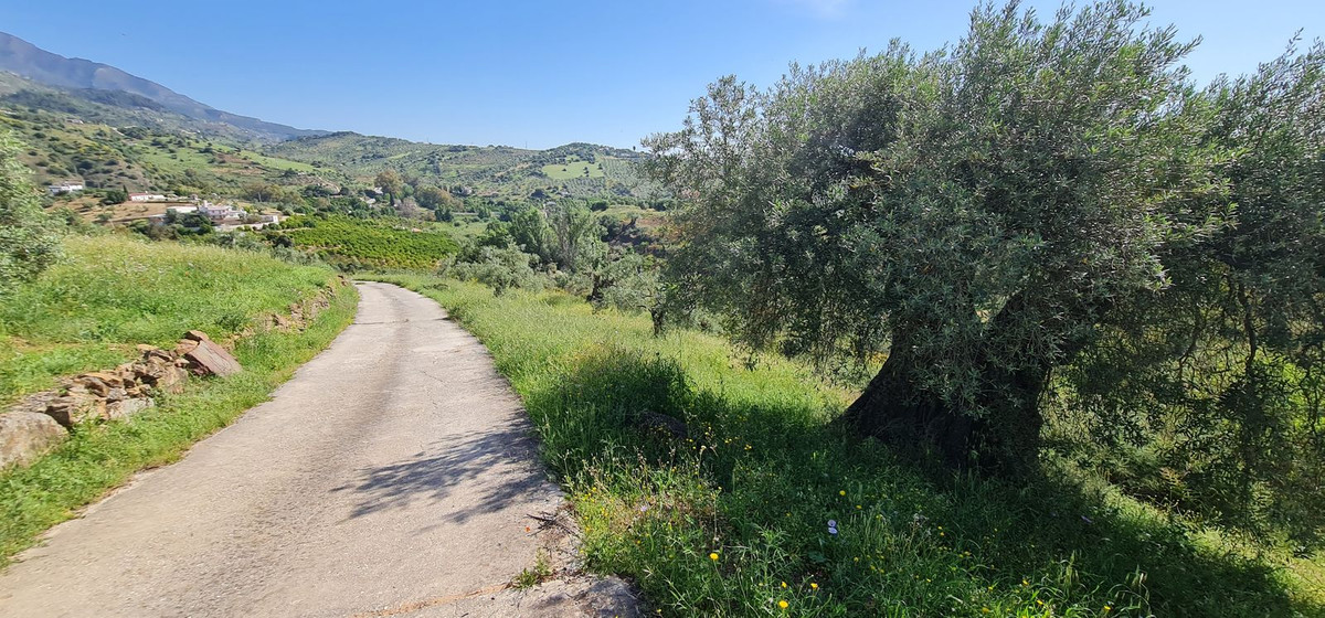 Plots for sale in Tolox Costa Del Sol, Málaga, Spain