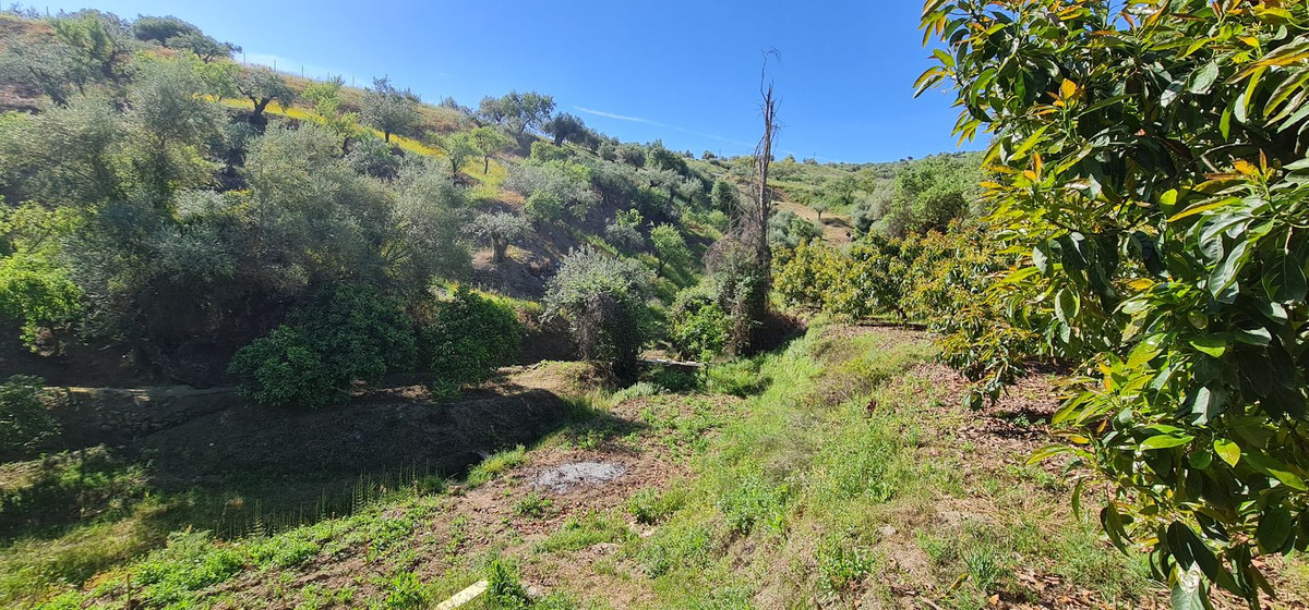 Plots for sale in Tolox Costa Del Sol, Málaga, Spain