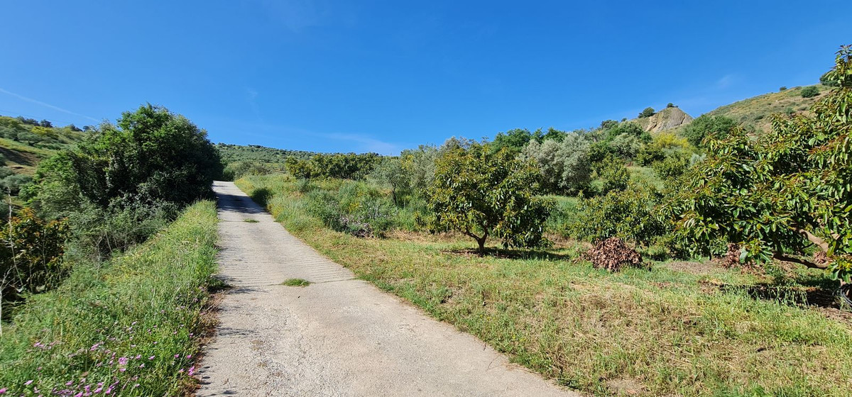 Plots for sale in Tolox Costa Del Sol, Málaga, Spain