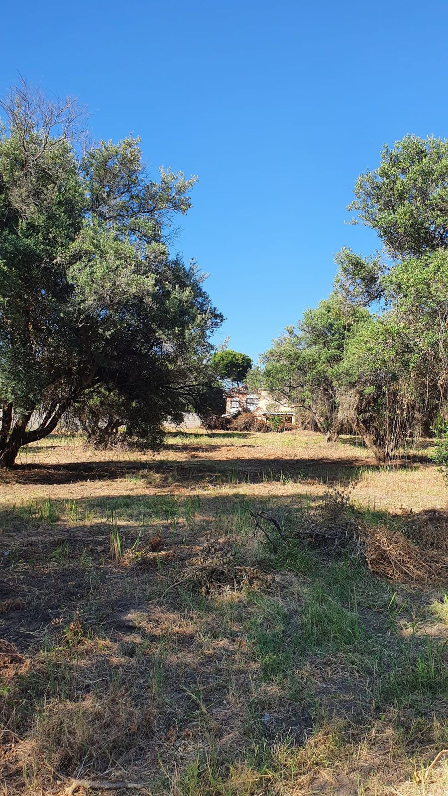 Se vende Terreno Rustico  en Costa Del Sol, Málaga, España