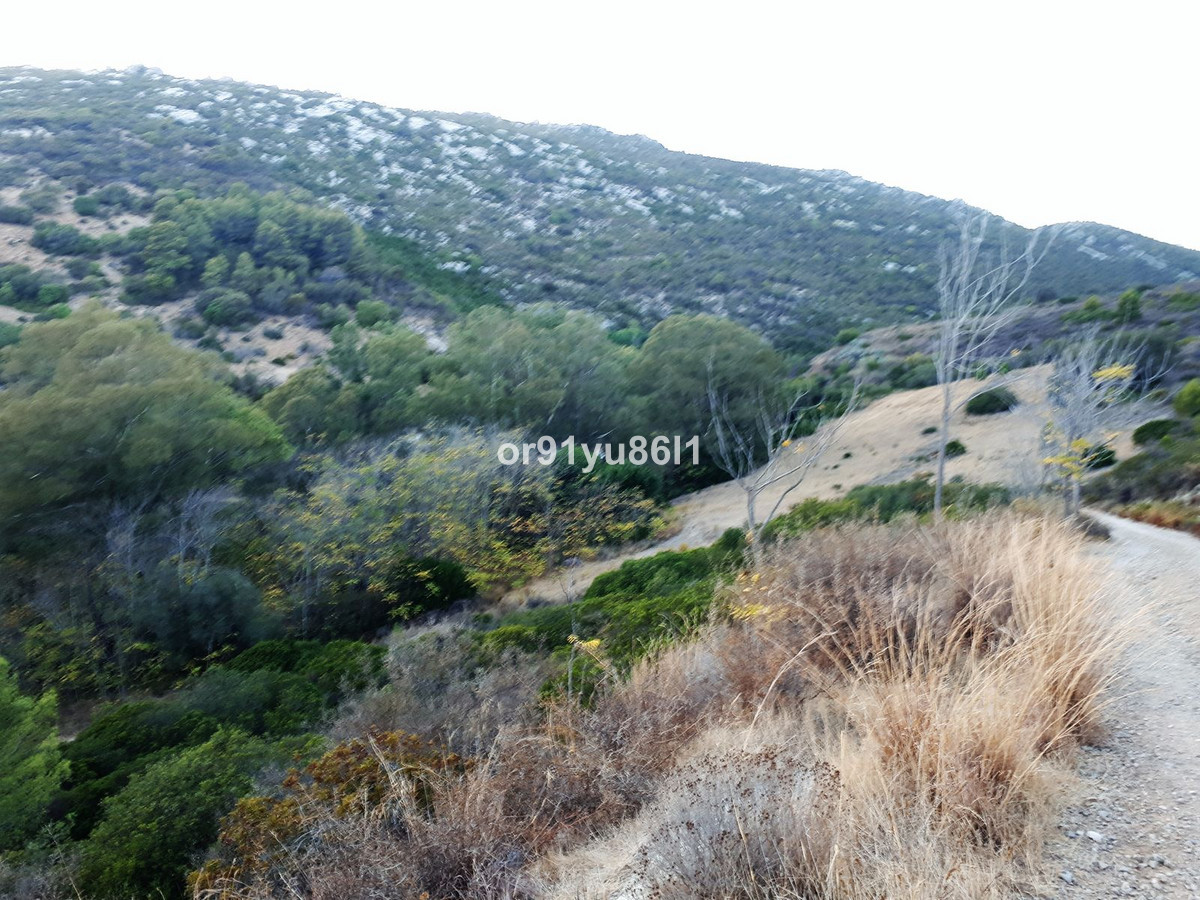 Se vende Finca - Cortijo de 5 dormitorios en Costa Del Sol, Málaga, España