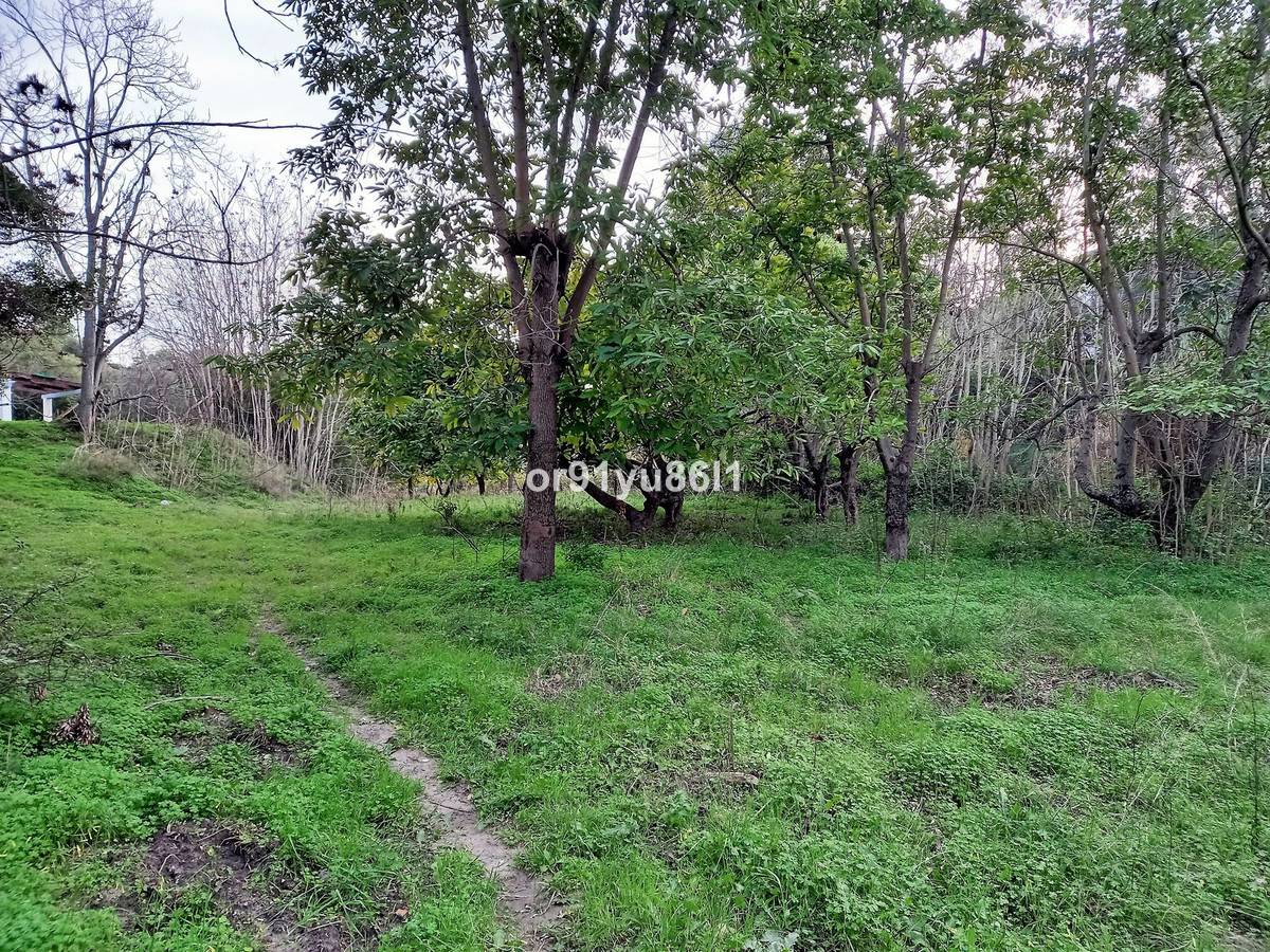 Se vende Finca - Cortijo de 5 dormitorios en Costa Del Sol, Málaga, España