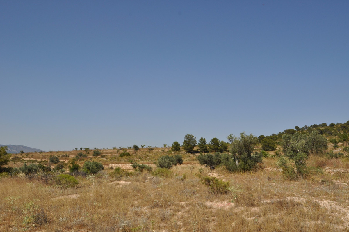 Se vende Terreno Rustico  en Costa Blanca, Alicante, España