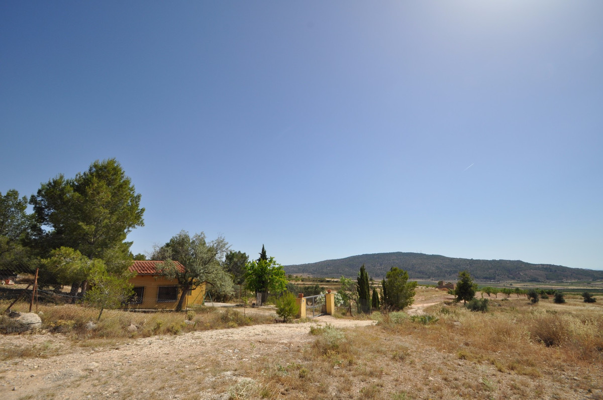 Se vende Terreno Rustico  en Costa Blanca, Alicante, España