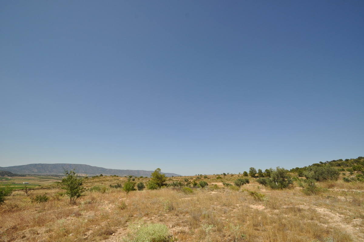 Se vende Terreno Rustico  en Costa Blanca, Alicante, España