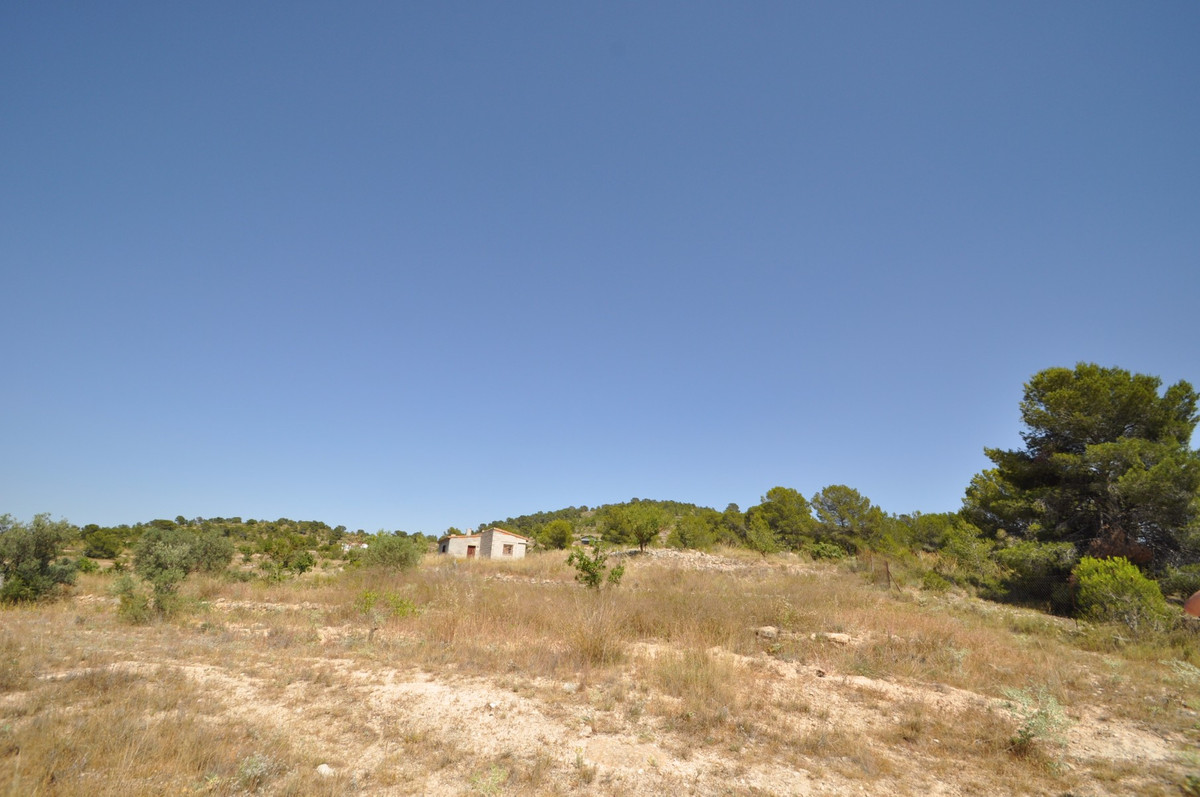 Se vende Terreno Rustico  en Costa Blanca, Alicante, España