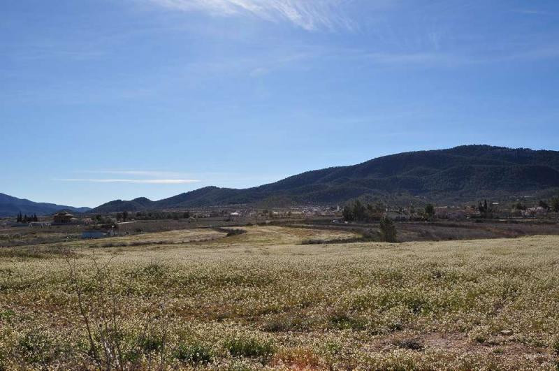 Se vende Terreno Rustico  en Costa Blanca, Alicante, España