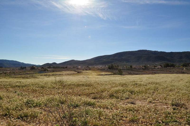 Se vende Terreno Rustico  en Costa Blanca, Alicante, España