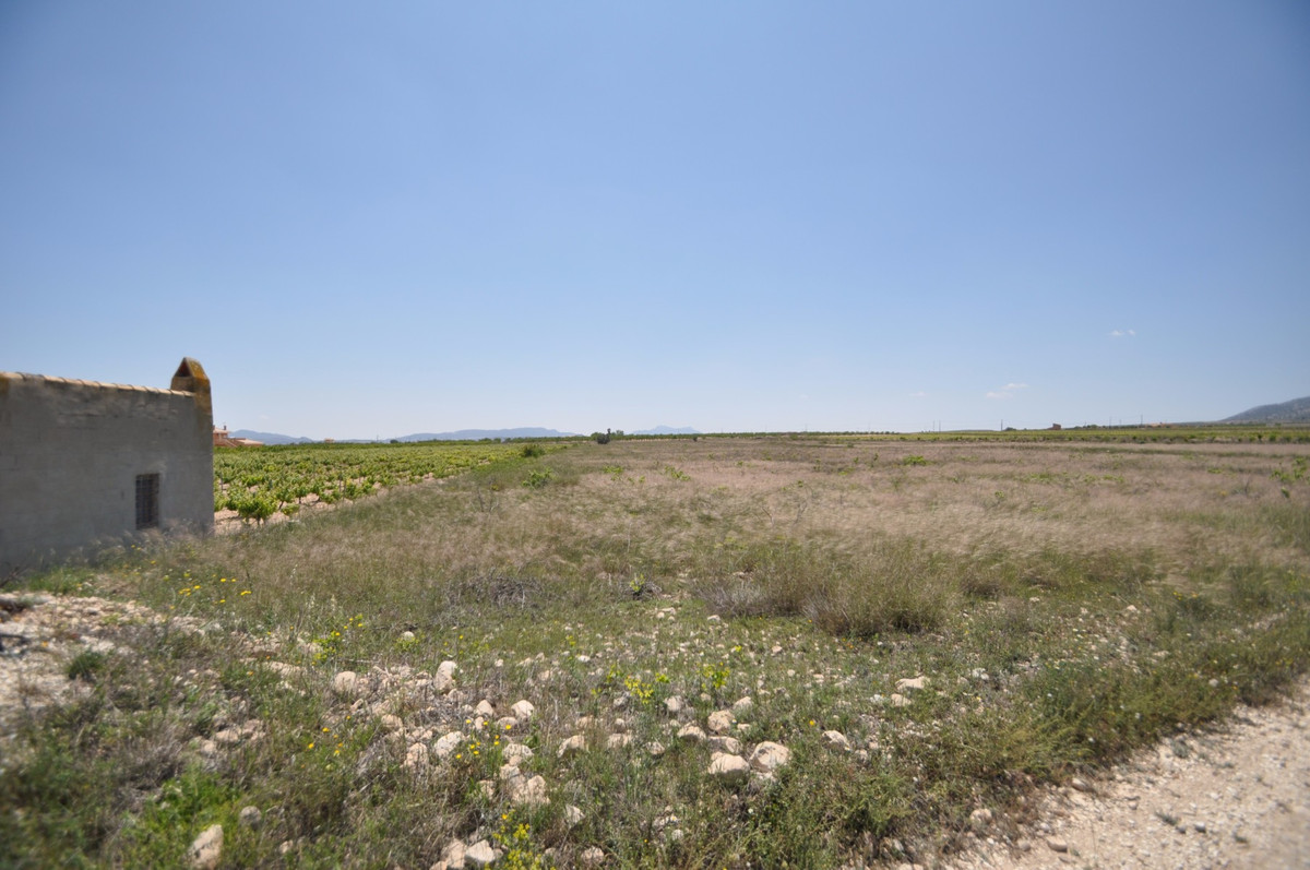 Se vende Terreno Rustico  en Costa Blanca, Alicante, España