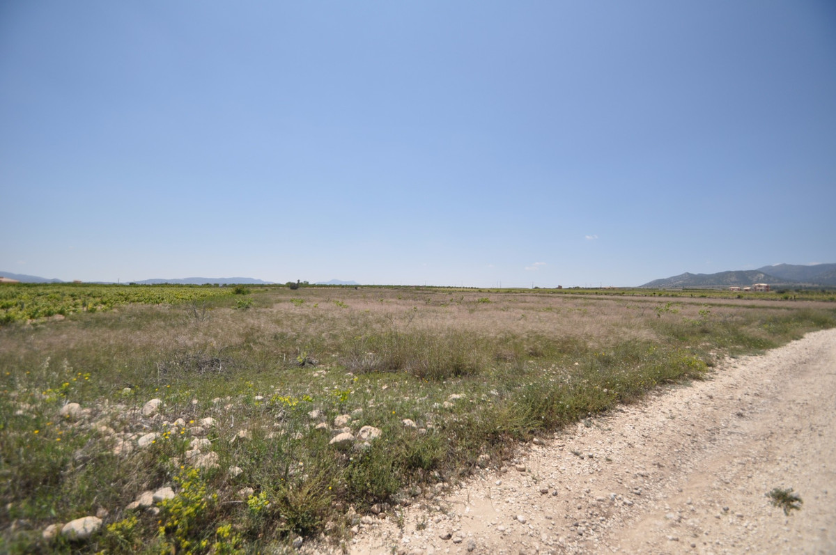 Se vende Terreno Rustico  en Costa Blanca, Alicante, España