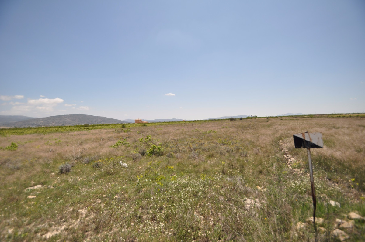 Se vende Terreno Rustico  en Costa Blanca, Alicante, España