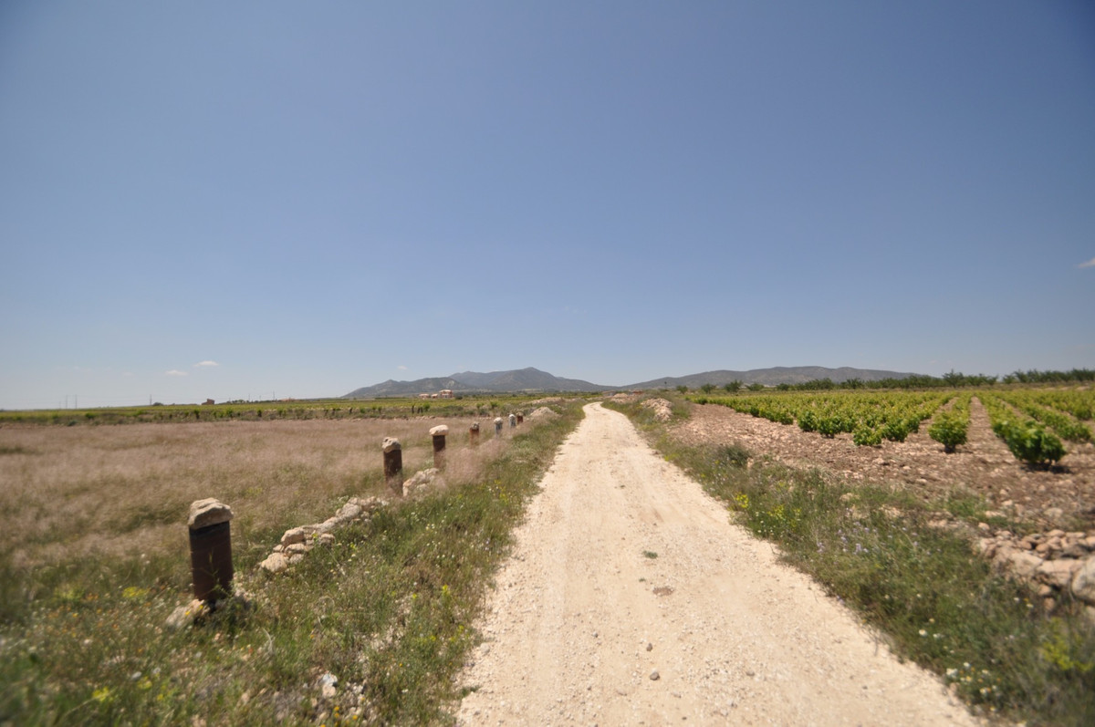 Se vende Terreno Rustico  en Costa Blanca, Alicante, España