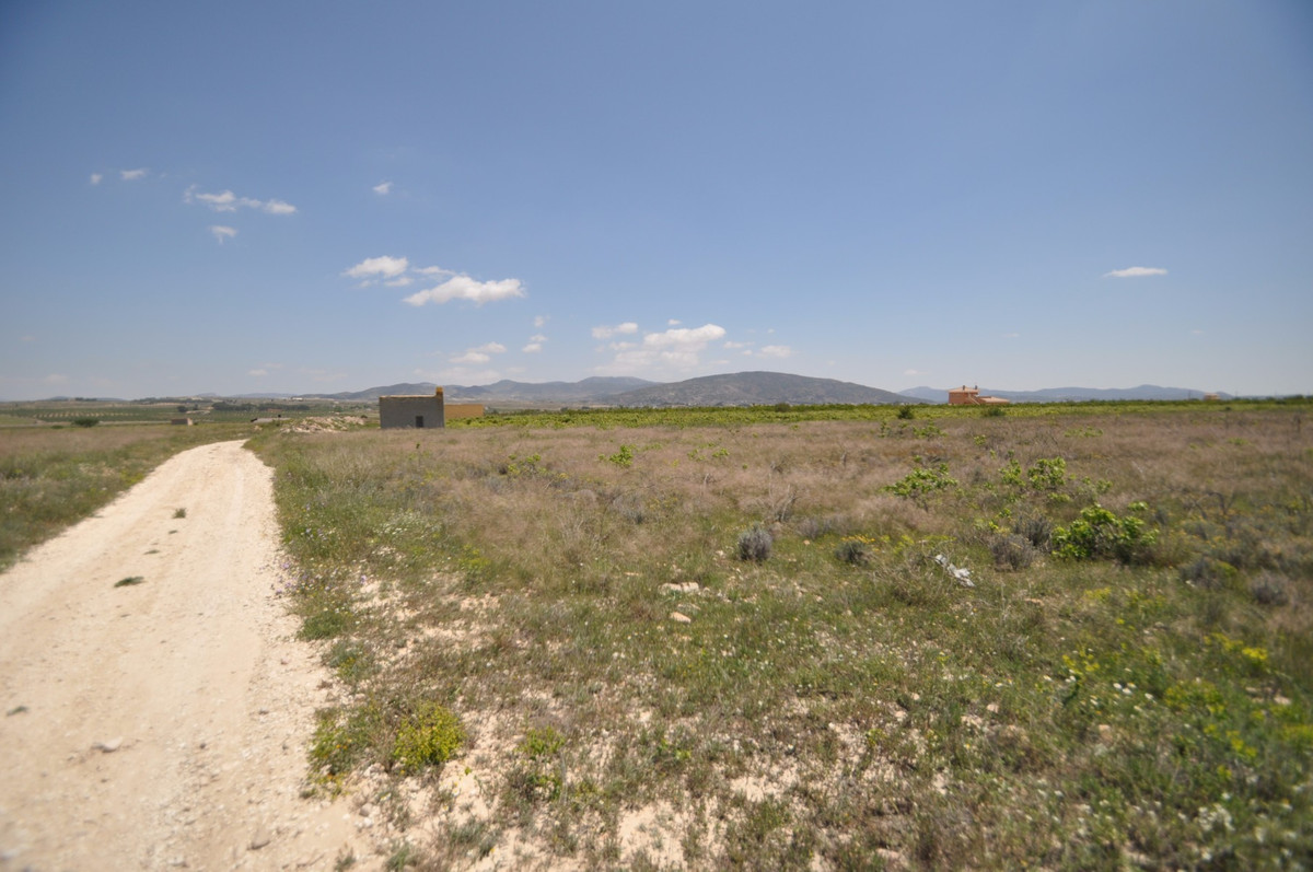Se vende Terreno Rustico  en Costa Blanca, Alicante, España