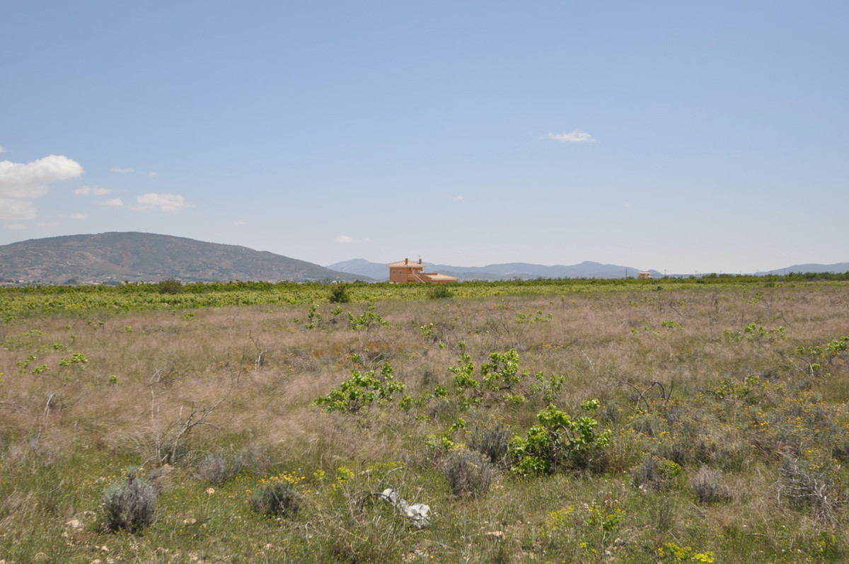 Se vende Terreno Rustico  en Costa Blanca, Alicante, España