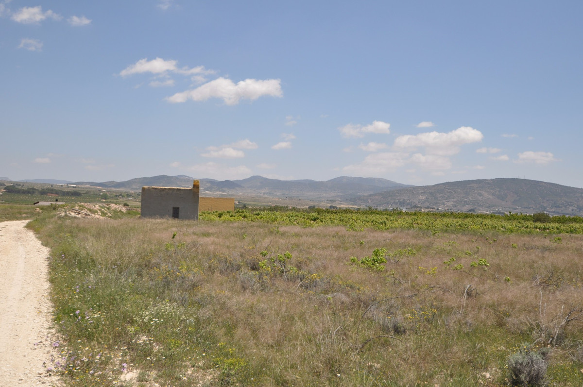 Se vende Terreno Rustico  en Costa Blanca, Alicante, España