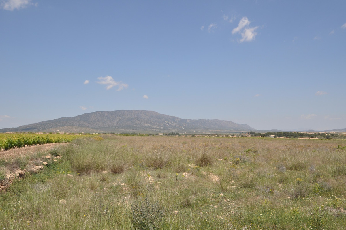 Se vende Terreno Rustico  en Costa Blanca, Alicante, España