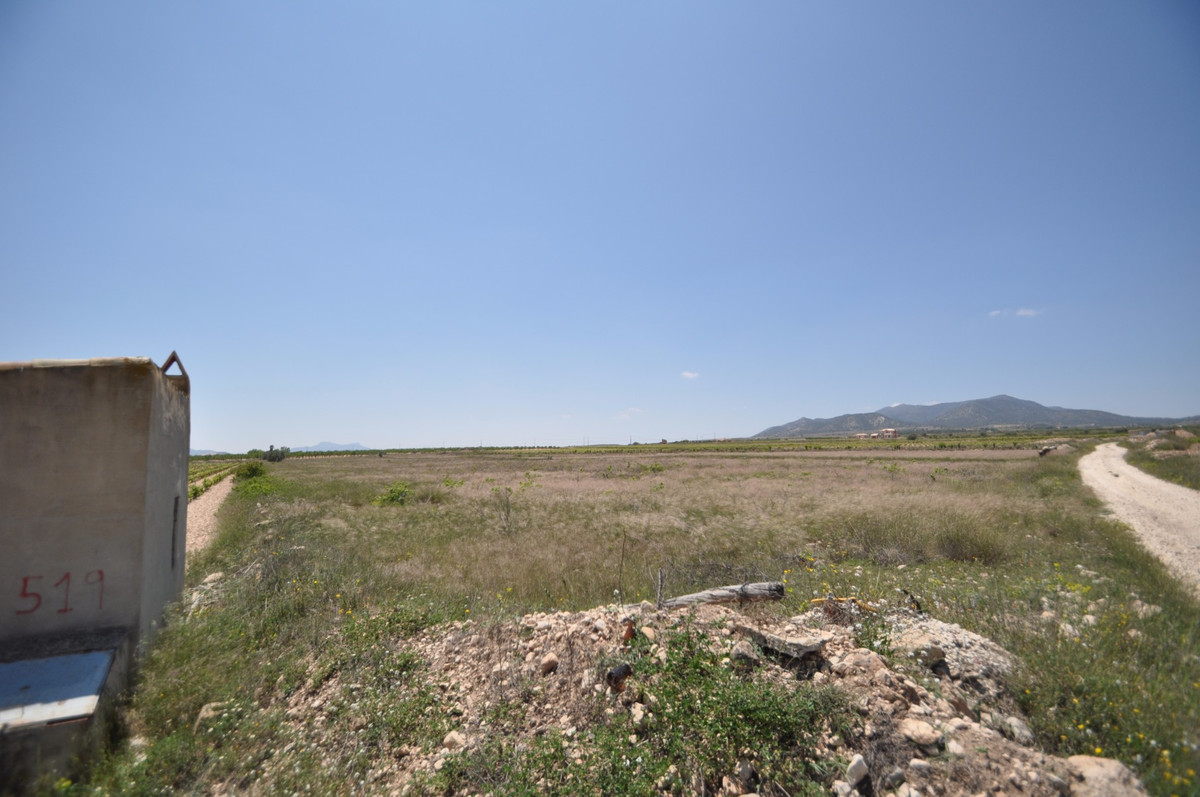Se vende Terreno Rustico  en Costa Blanca, Alicante, España