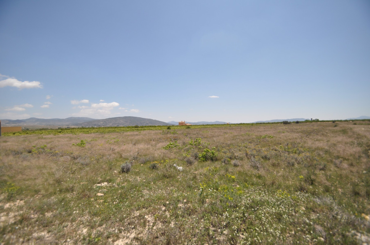 Se vende Terreno Rustico  en Costa Blanca, Alicante, España