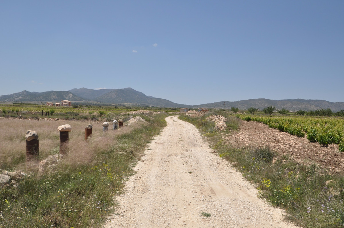 Se vende Terreno Rustico  en Costa Blanca, Alicante, España