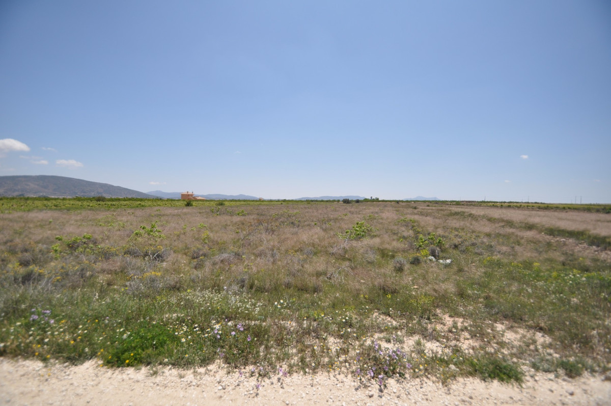 Se vende Terreno Rustico  en Costa Blanca, Alicante, España