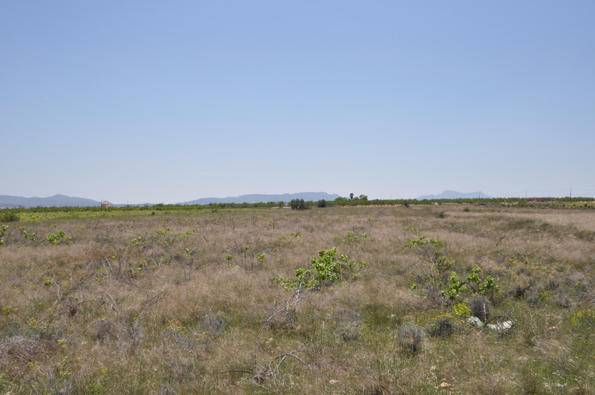 Se vende Terreno Rustico  en Costa Blanca, Alicante, España