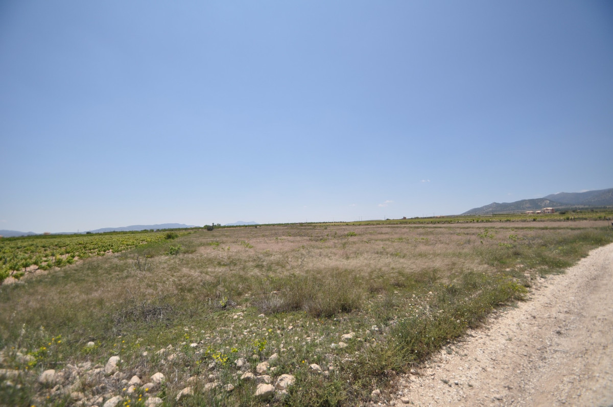 Se vende Terreno Rustico  en Costa Blanca, Alicante, España