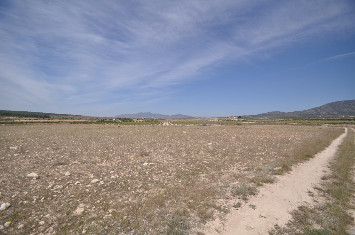 Se vende Terreno Rustico  en Costa Blanca, Alicante, España