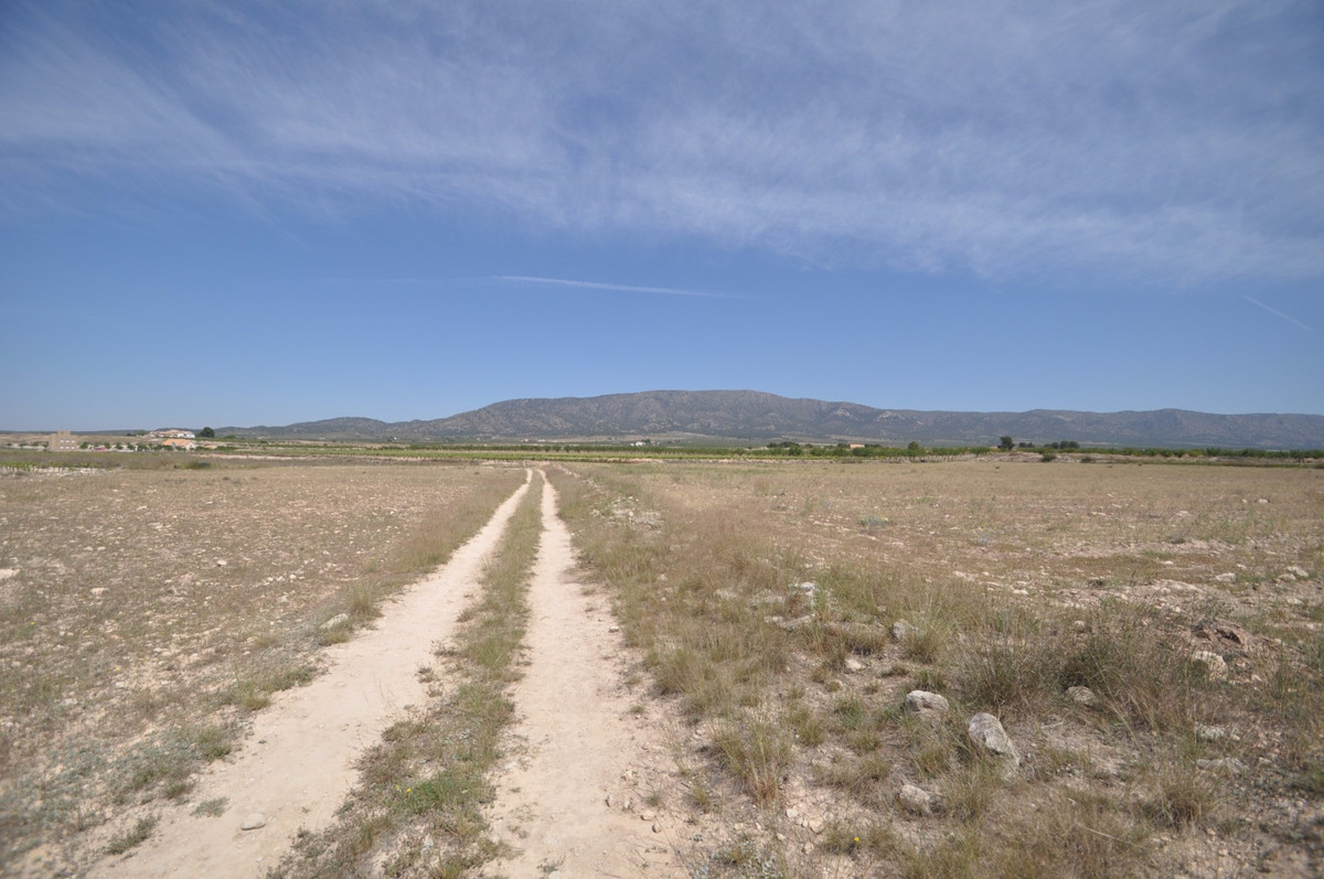 Se vende Terreno Rustico  en Costa Blanca, Alicante, España