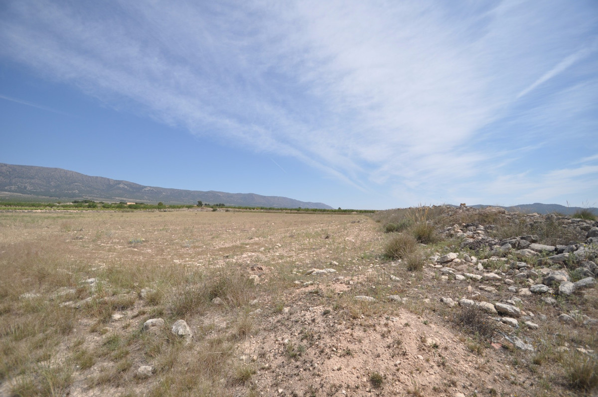 Se vende Terreno Rustico  en Costa Blanca, Alicante, España