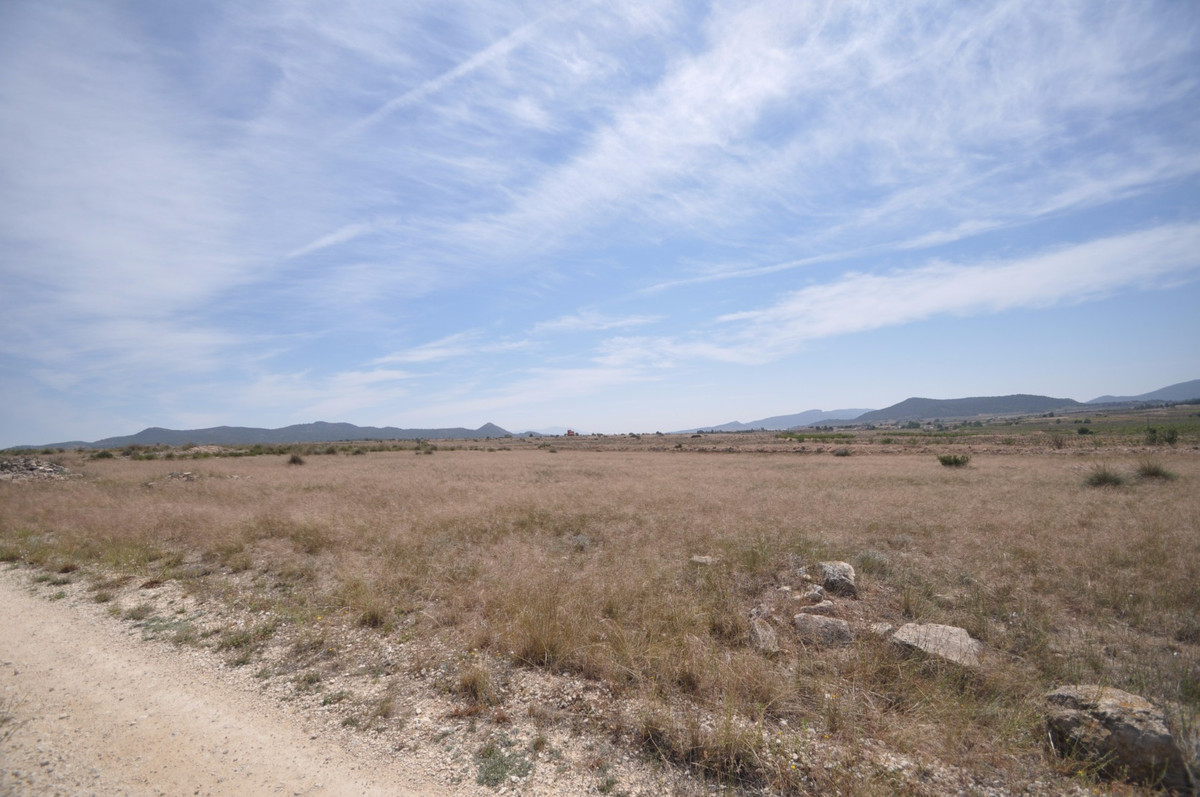 Se vende Terreno Rustico  en Costa Blanca, Alicante, España