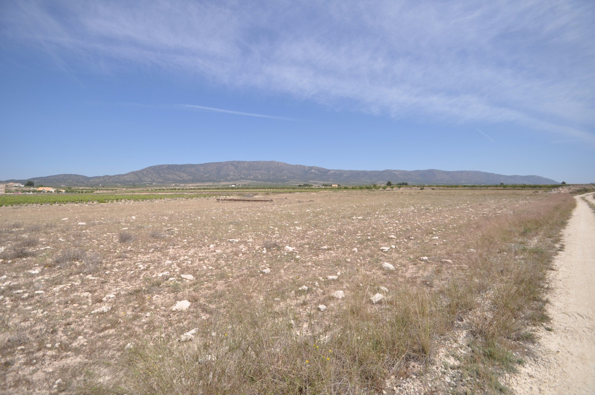 Se vende Terreno Rustico  en Costa Blanca, Alicante, España