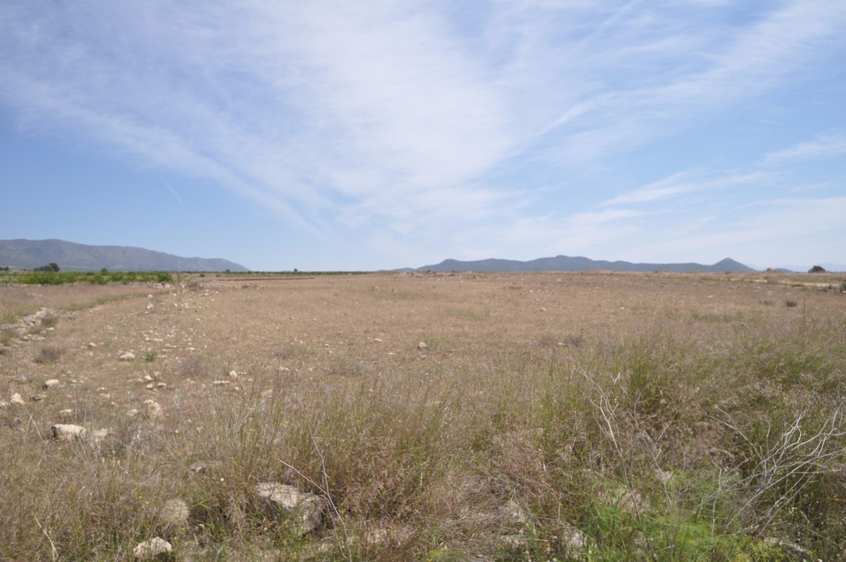 Se vende Terreno Rustico  en Costa Blanca, Alicante, España