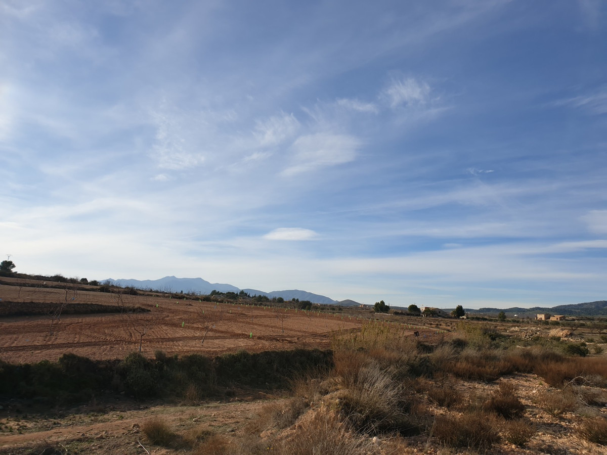 Se vende Terreno Rustico  en Costa Blanca, Alicante, España