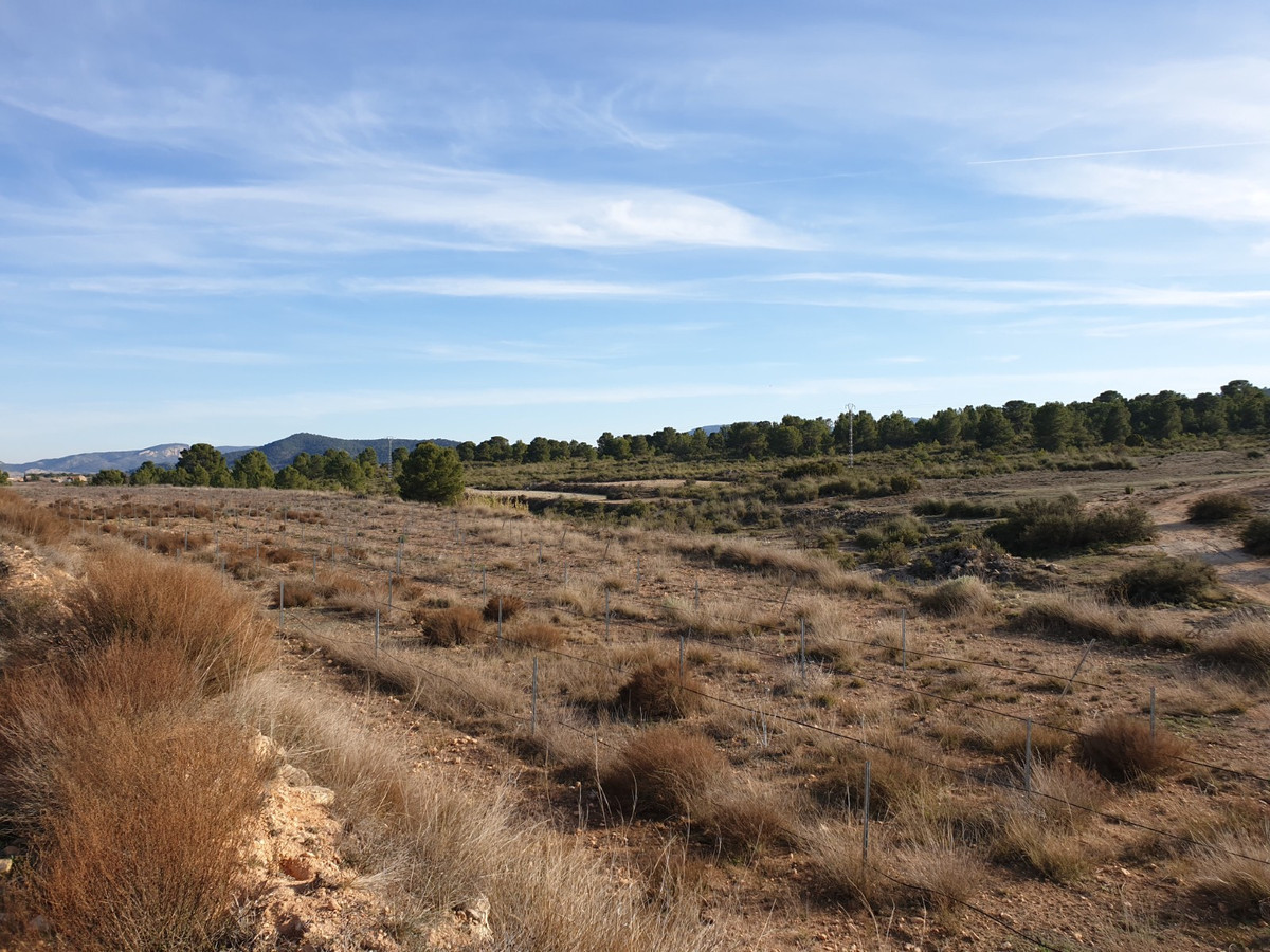 Se vende Terreno Rustico  en Costa Blanca, Alicante, España