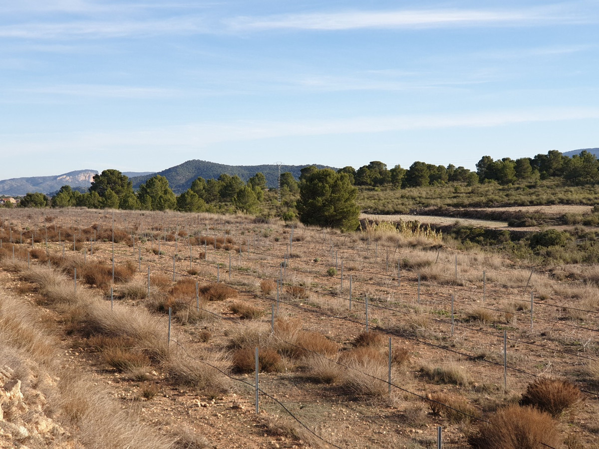 Se vende Terreno Rustico  en Costa Blanca, Alicante, España
