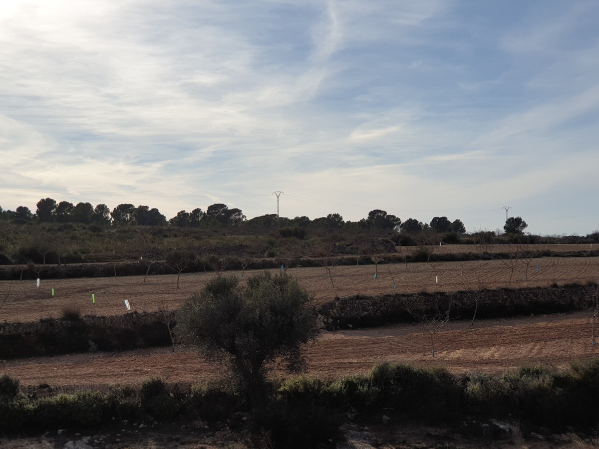Se vende Terreno Rustico  en Costa Blanca, Alicante, España