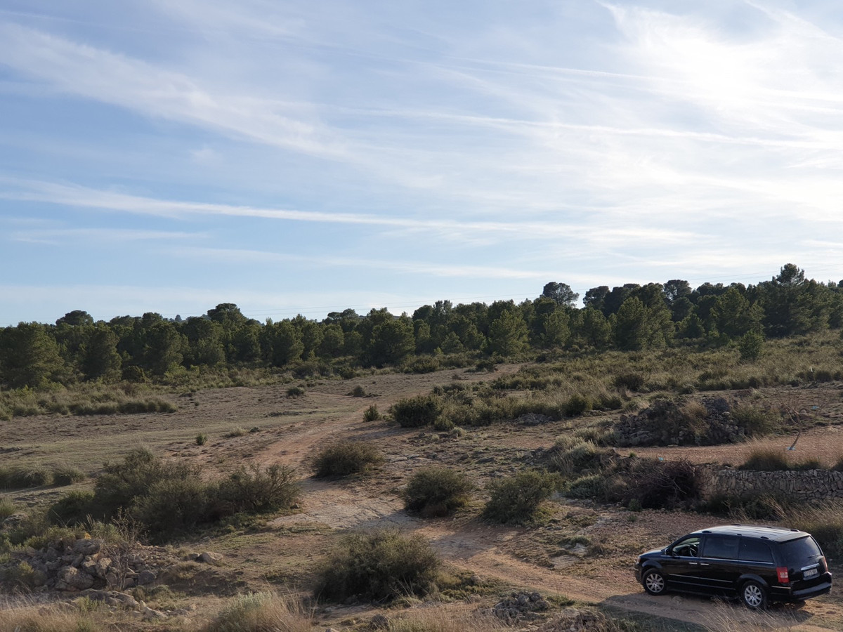 Se vende Terreno Rustico  en Costa Blanca, Alicante, España