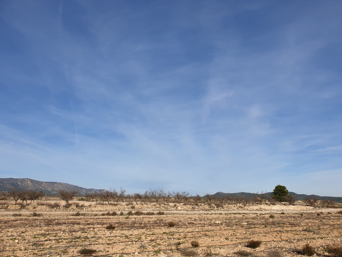 Se vende Terreno Rustico  en Costa Blanca, Alicante, España