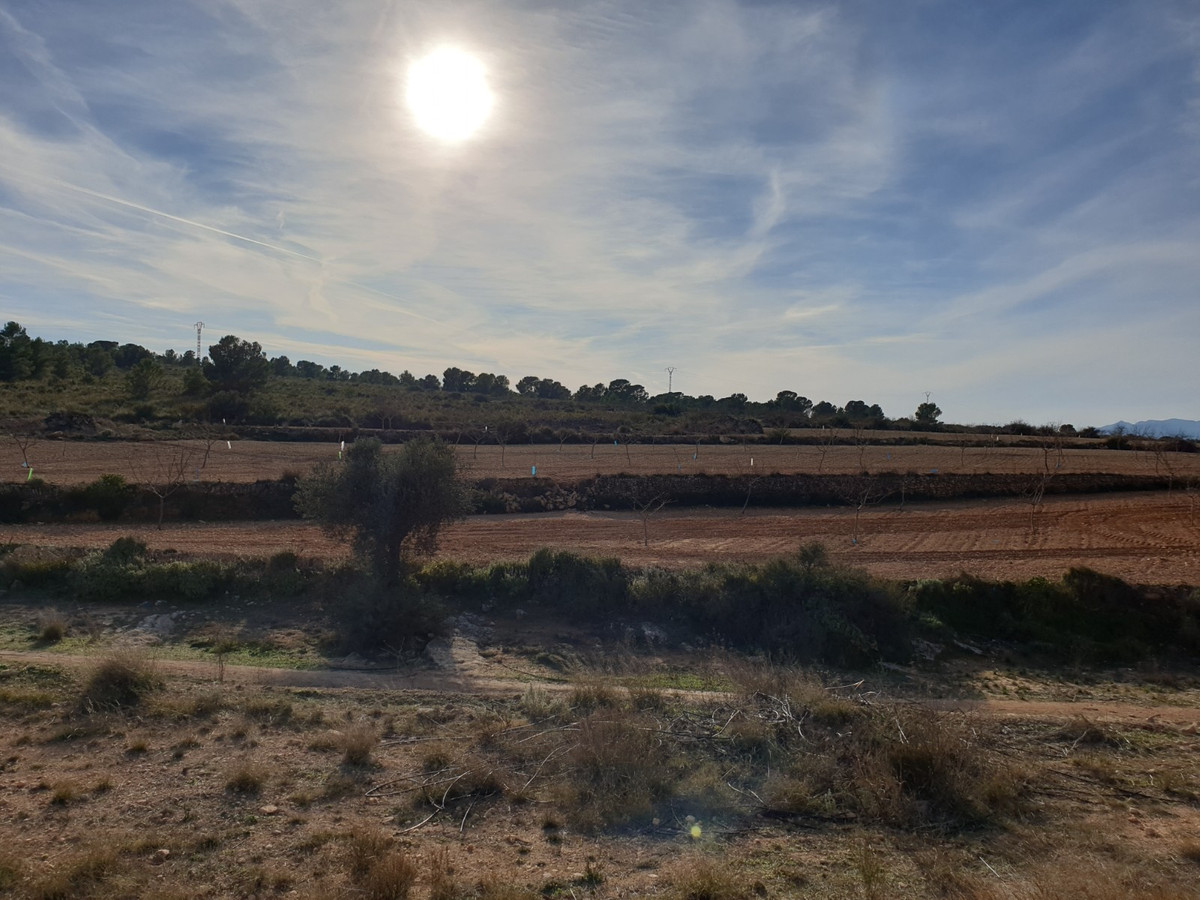 Se vende Terreno Rustico  en Costa Blanca, Alicante, España
