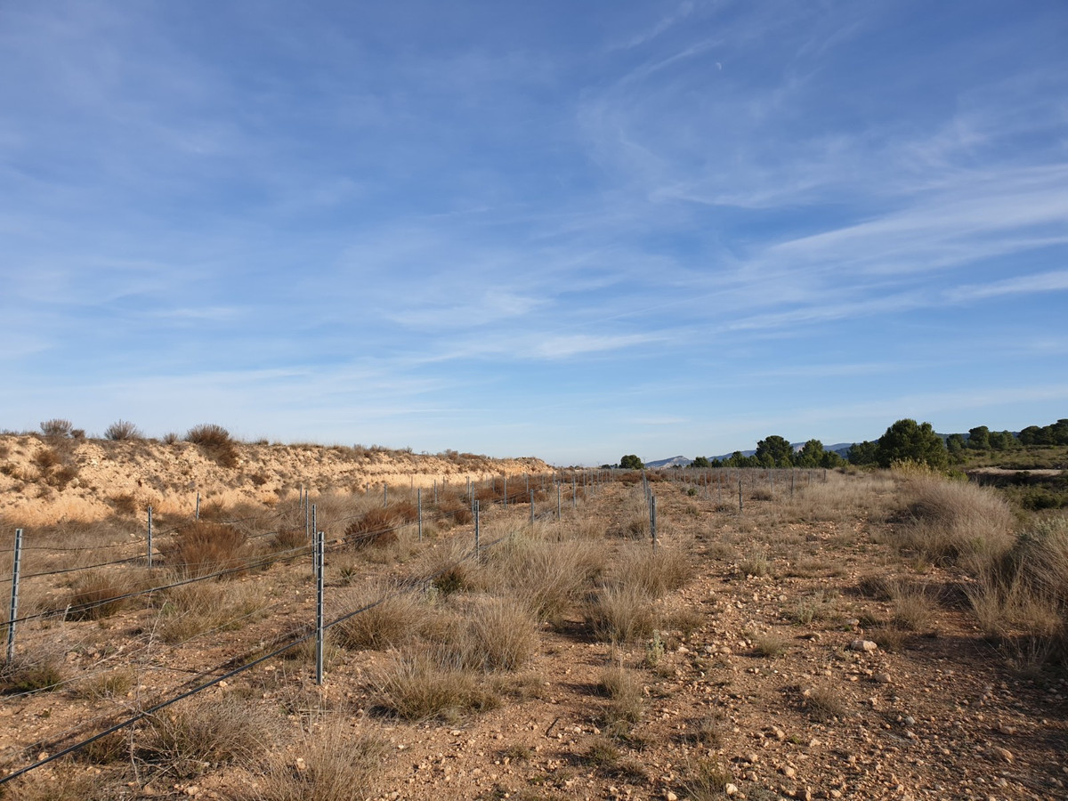 Se vende Terreno Rustico  en Costa Blanca, Alicante, España