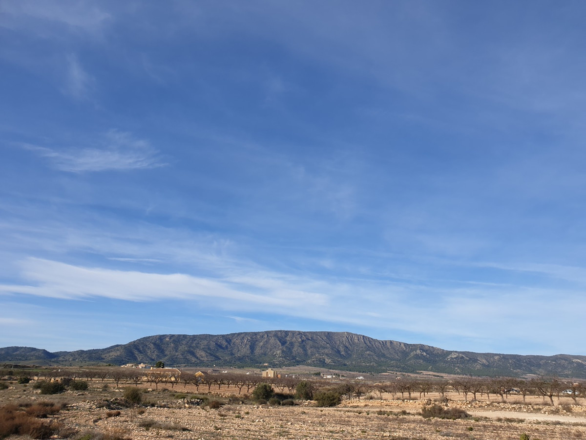 Se vende Terreno Rustico  en Costa Blanca, Alicante, España