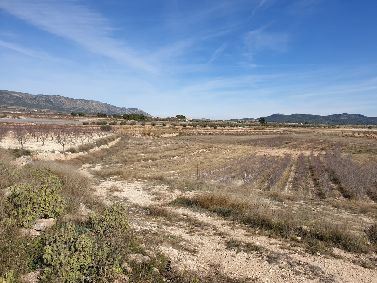 Se vende Terreno Rustico  en Costa Blanca, Alicante, España