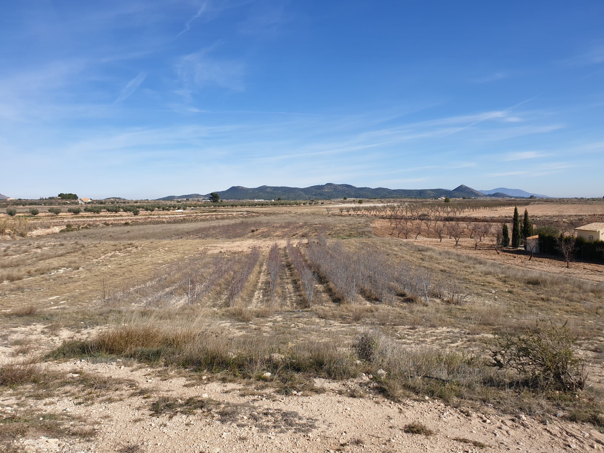 Se vende Terreno Rustico  en Costa Blanca, Alicante, España