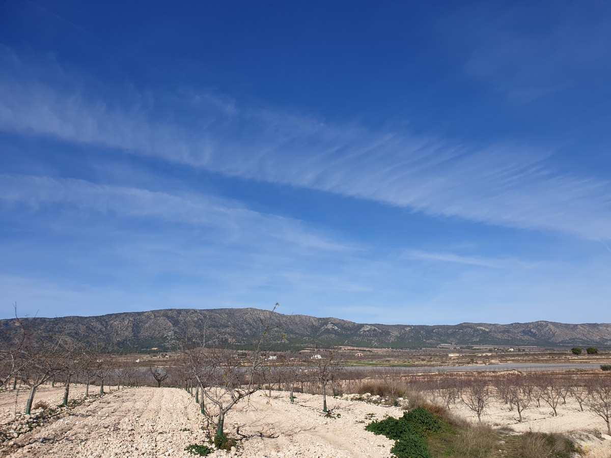 Se vende Terreno Rustico  en Costa Blanca, Alicante, España