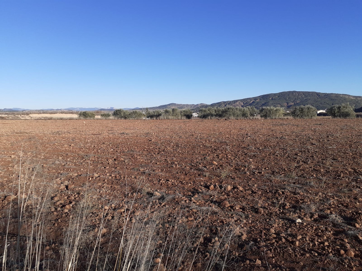 Se vende Terreno Rustico  en Costa Blanca, Alicante, España
