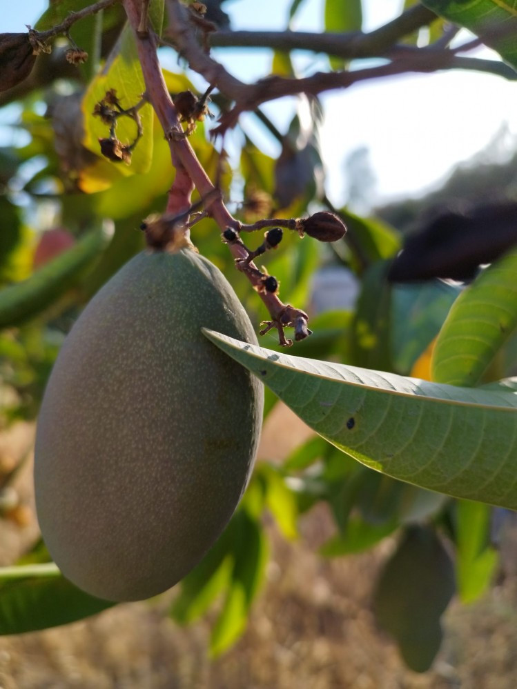 Se vende Finca - Cortijo de 2 dormitorios en Costa Del Sol East, Málaga, España