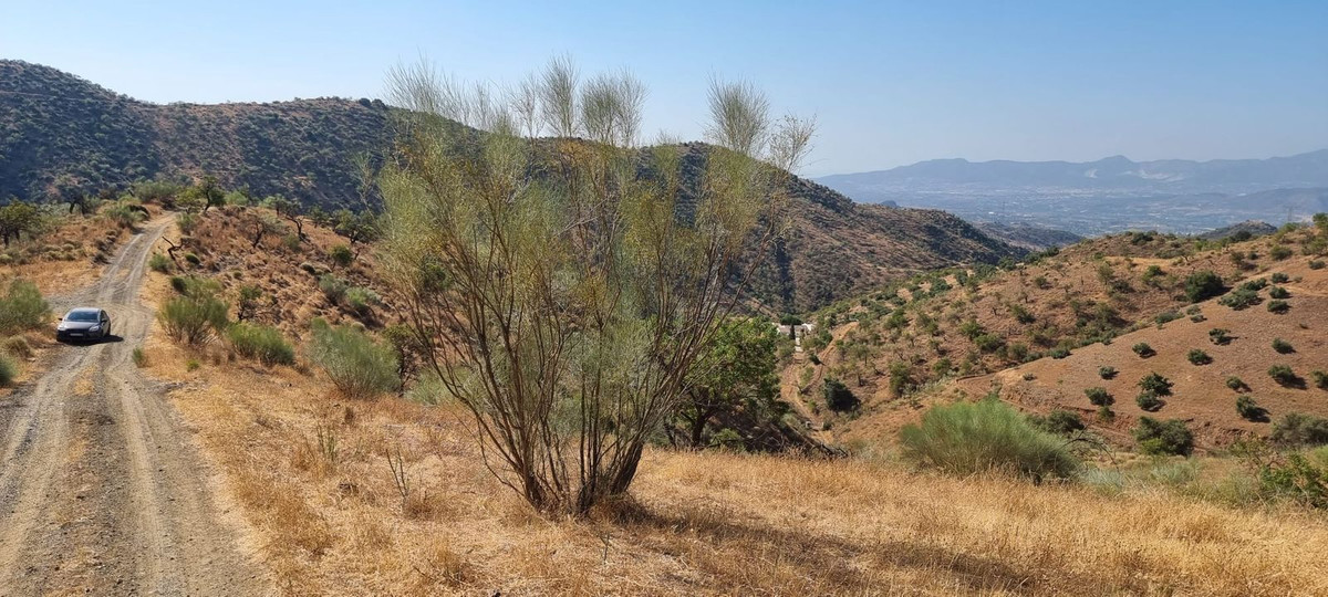 Plots for sale in Estacion De Cartama Costa Del Sol, Málaga, Spain