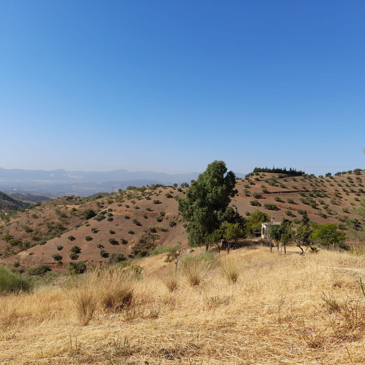 Plots for sale in Estacion De Cartama Costa Del Sol, Málaga, Spain