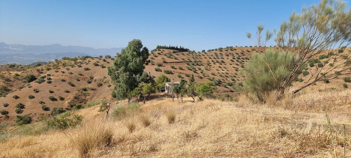 Plots for sale in Estacion De Cartama Costa Del Sol, Málaga, Spain