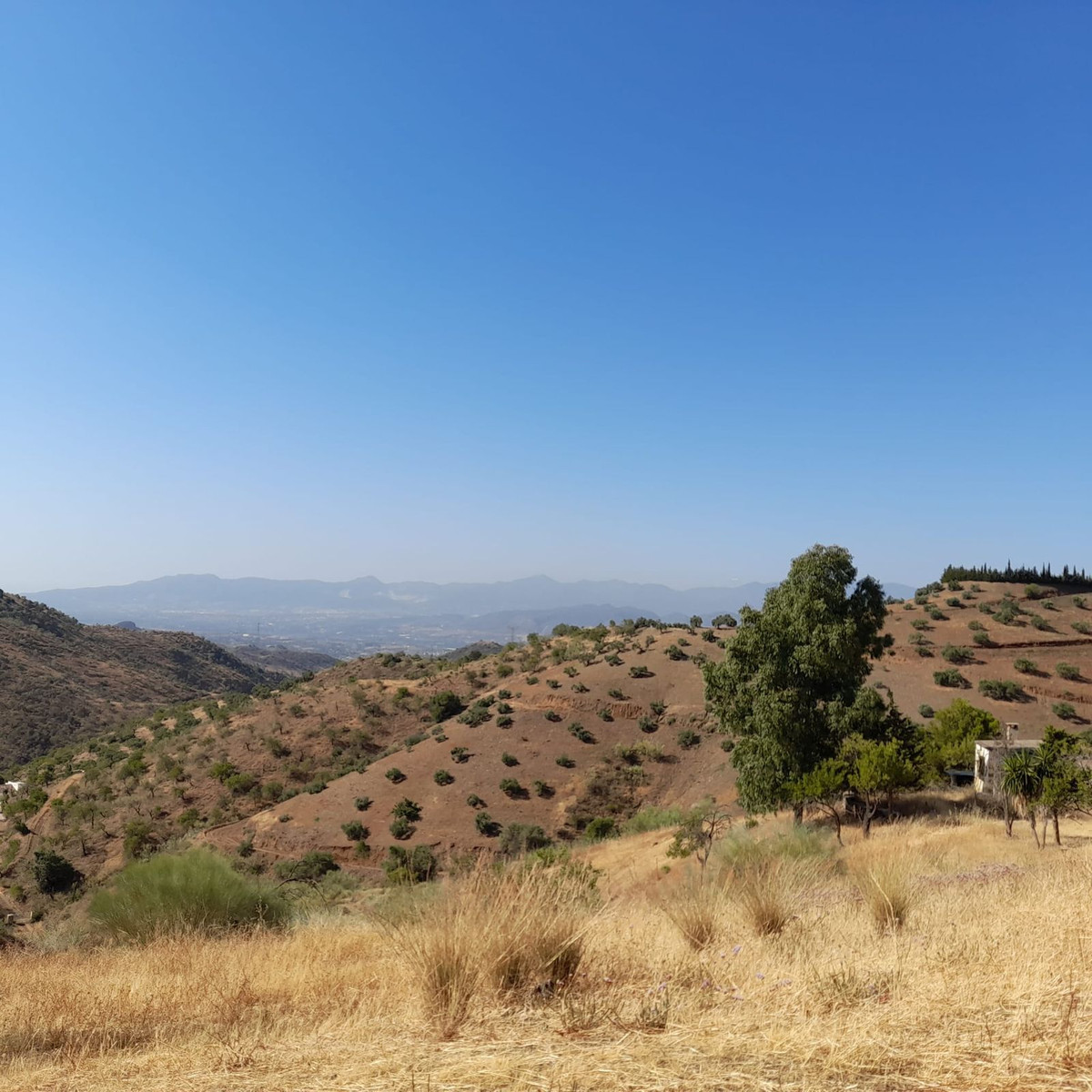 Plots for sale in Estacion De Cartama Costa Del Sol, Málaga, Spain